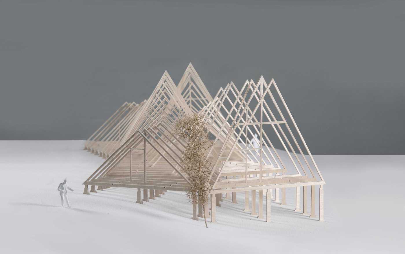 Two Axis Four Frame 2x4 Texas A-Frame | Barkow Leibinger
